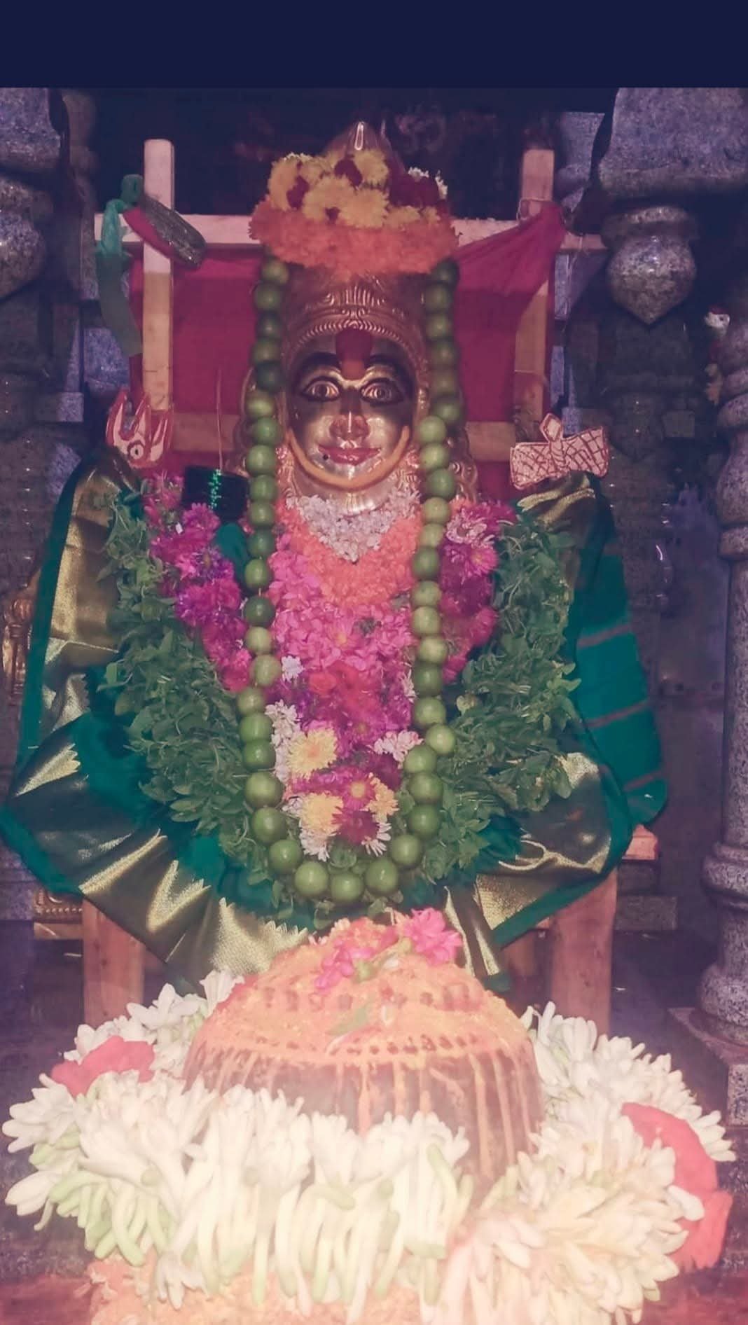 WhatsApp Image 2025-12-15 at 1.10.29 PM (1)