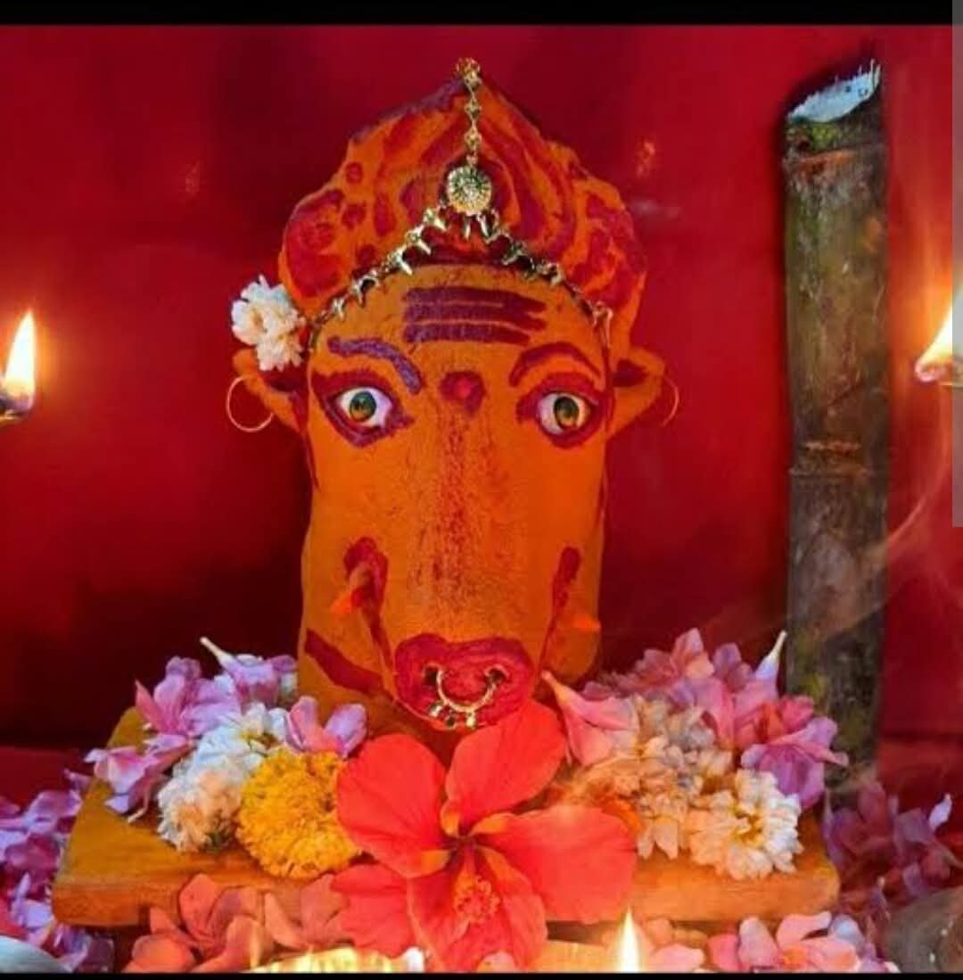 WhatsApp Image 2025-12-15 at 1.10.41 PM (1)