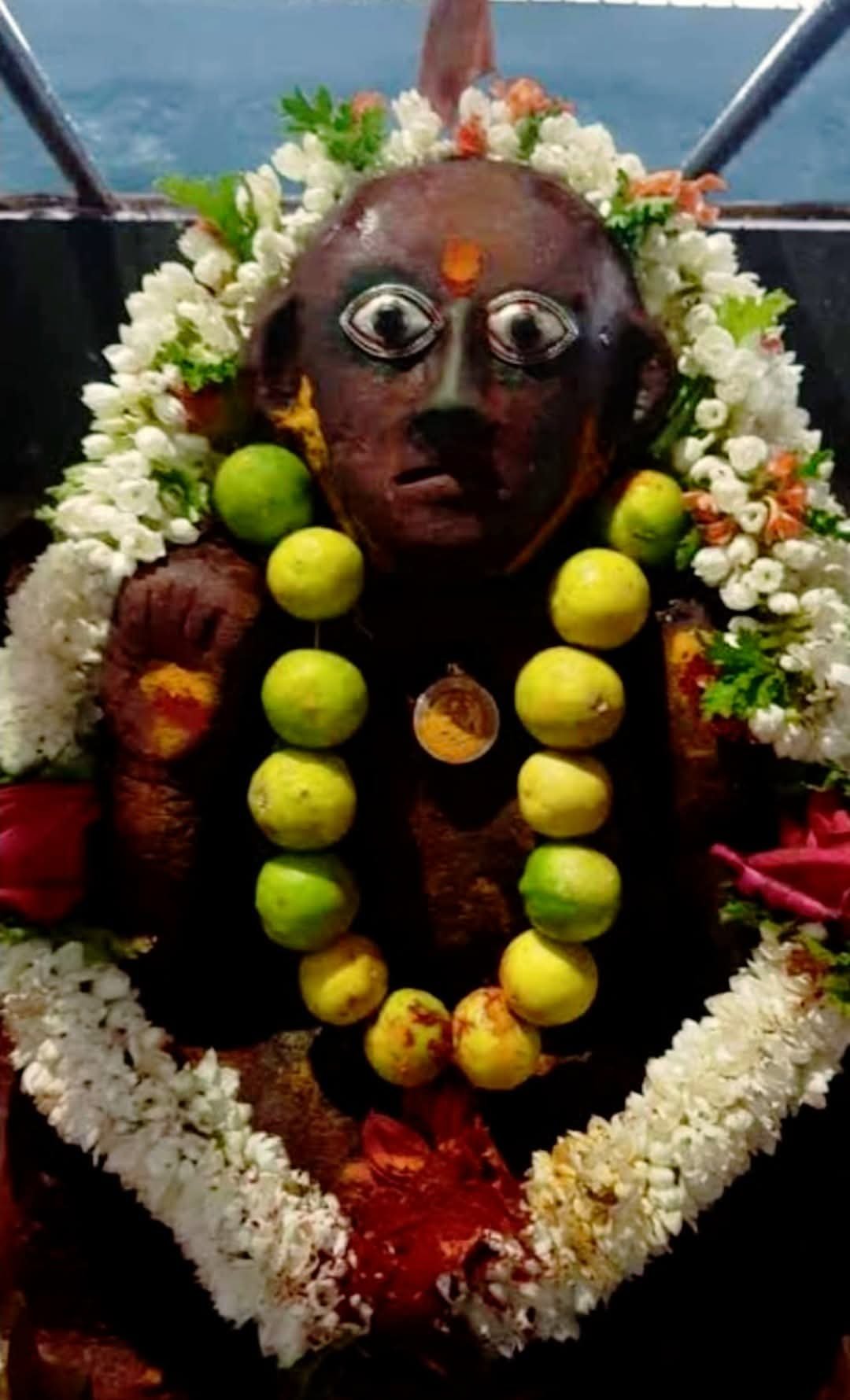 WhatsApp Image 2025-12-15 at 1.10.42 PM (2)