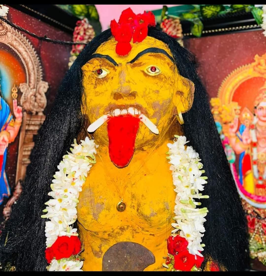 WhatsApp Image 2025-12-15 at 1.10.42 PM